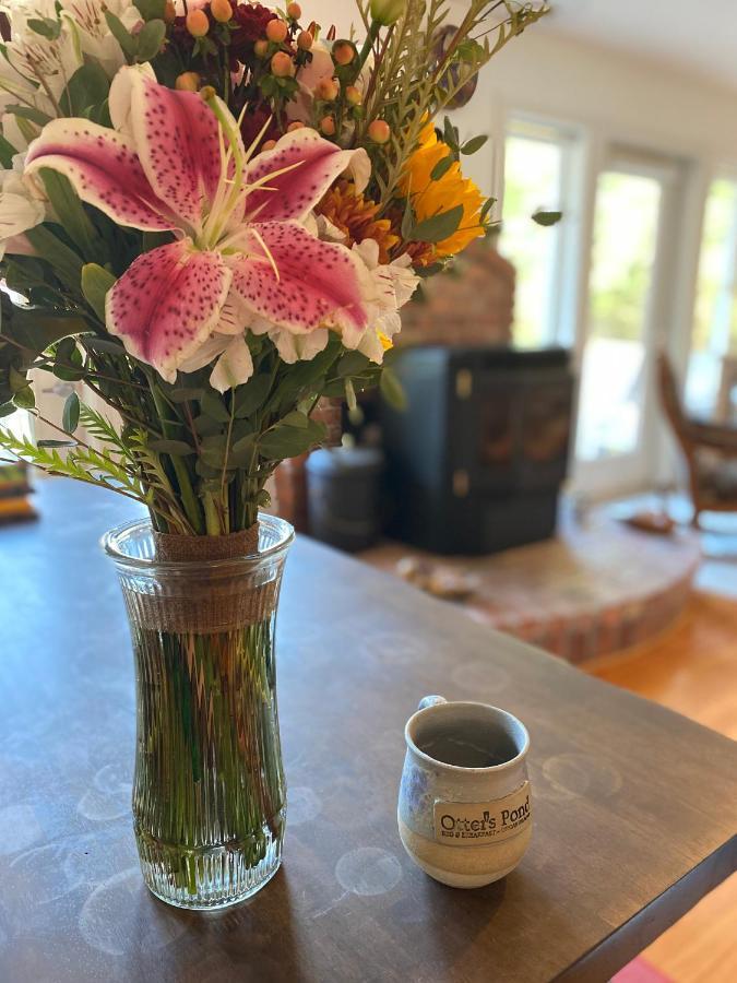 Otter's Pond Bed and breakfast