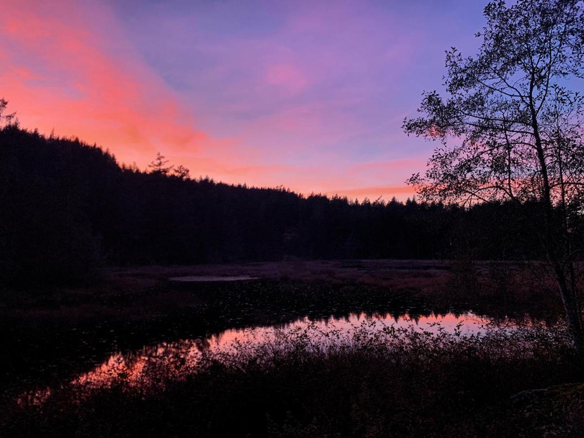 Otter's Pond